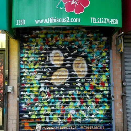 Joan Di Lieto 100 Gates project 2