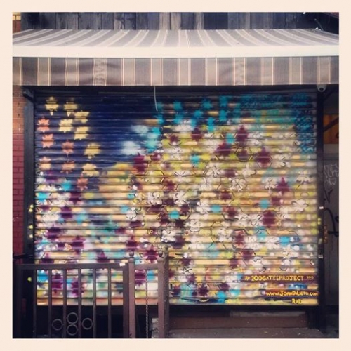 Joan Di Lieto 100 Gates project 3