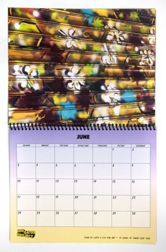 Joan Di Lieto 100 Gates project 4