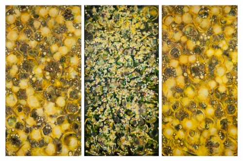 Project Miele, Artwork